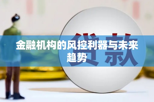 市北金融机构的风控利器与未来趋势