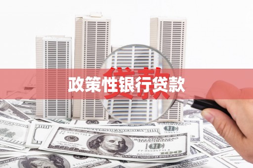 市北政策性银行贷款