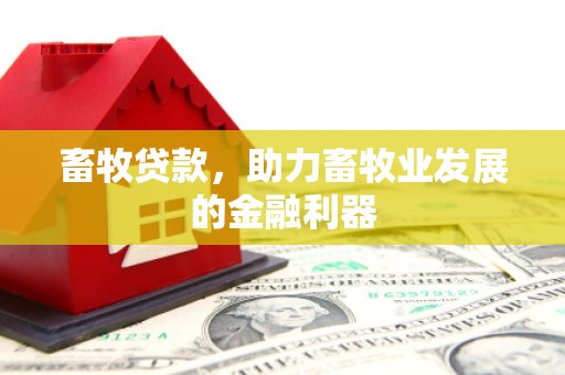 市北畜牧贷款，助力畜牧业发展的金融利器