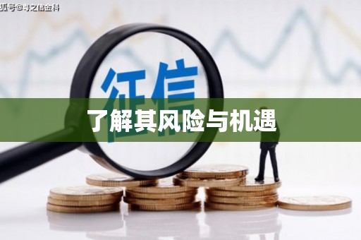 市北了解其风险与机遇