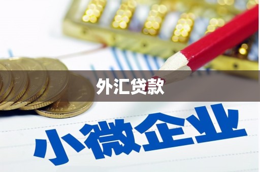 市北外汇贷款