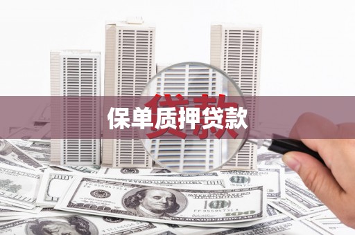 市北保单质押贷款