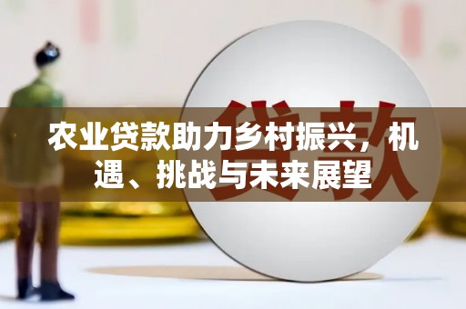 市北农业贷款助力乡村振兴，机遇、挑战与未来展望