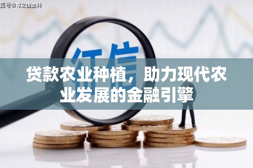 市北贷款农业种植，助力现代农业发展的金融引擎