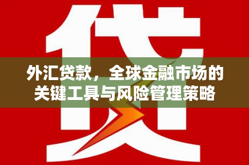 市北外汇贷款，全球金融市场的关键工具与风险管理策略