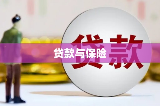 市北贷款与保险