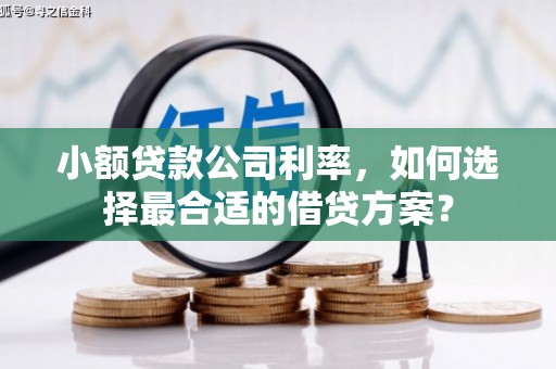 市北小额贷款公司利率，如何选择最合适的借贷方案？