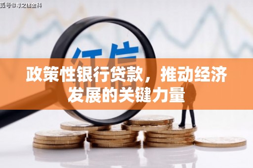 市北政策性银行贷款，推动经济发展的关键力量