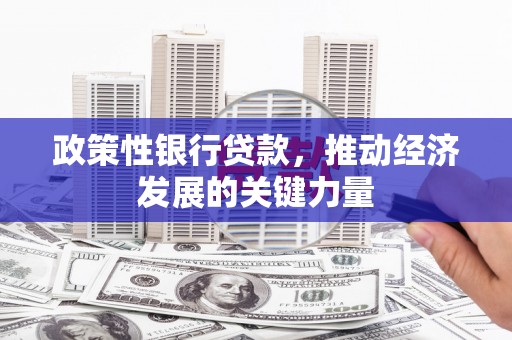 市北政策性银行贷款，推动经济发展的关键力量
