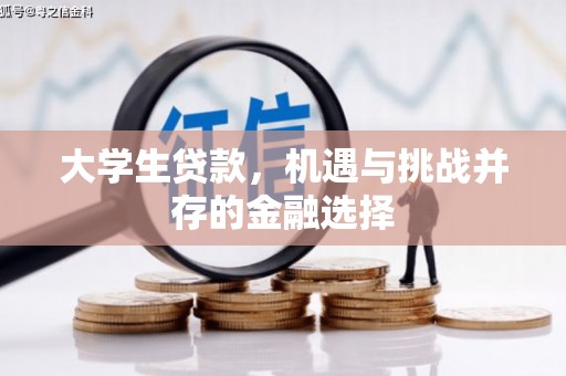 市北大学生贷款，机遇与挑战并存的金融选择