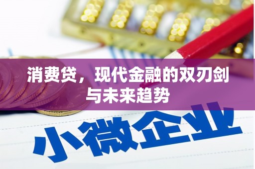 市北消费贷，现代金融的双刃剑与未来趋势